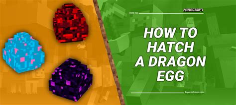 The Ultimate Guide to Hatching a Dragon Egg in Minecraft