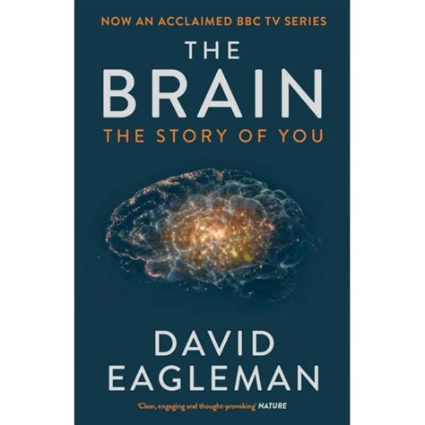 The Brain: The Story of You (Paperback) - Walmart.com - Walmart.com