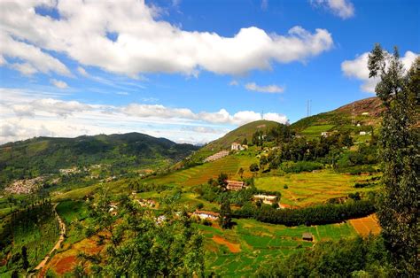 Lovedale in Ooty | Lovedale Tour | Lovedale Map | Lovedale Weather ...