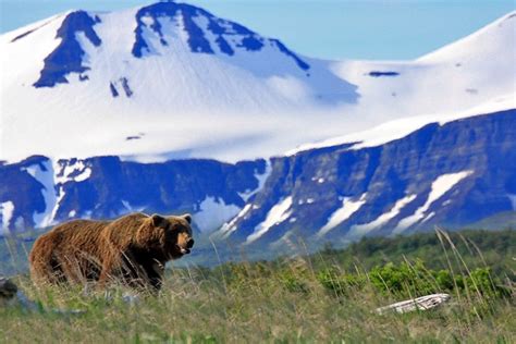 Katmai National Park and Preserve, Anchorage