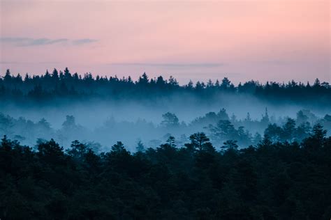 About our guides - Capture Estonia Nature and Photography Tours