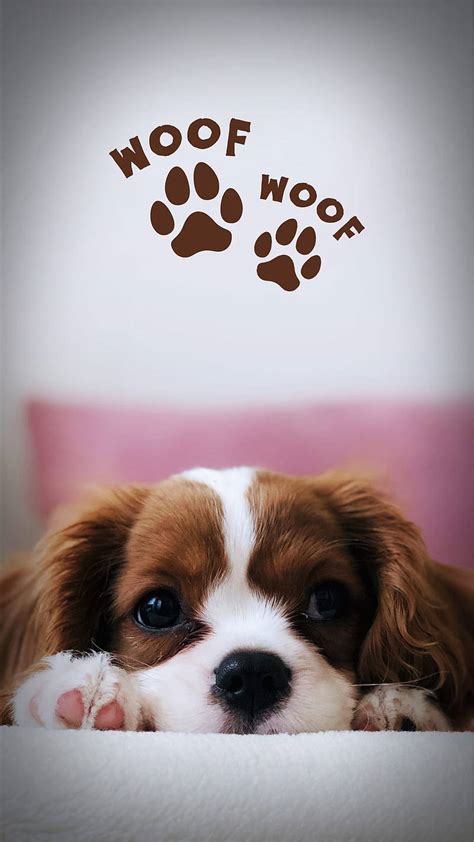 Download Puppy Dog Paw Marks Wallpaper | Wallpapers.com