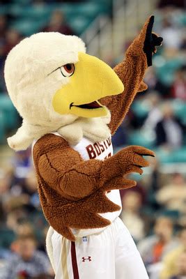 College Football: The 18 Most Frequently Used Mascot Names in NCAA | Bleacher Report