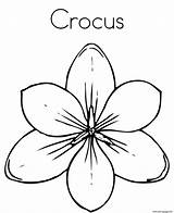 Crocus Flower Coloring Page Printable sketch template