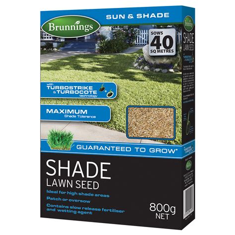 Shade Lawn Seed 800g - Brunnings