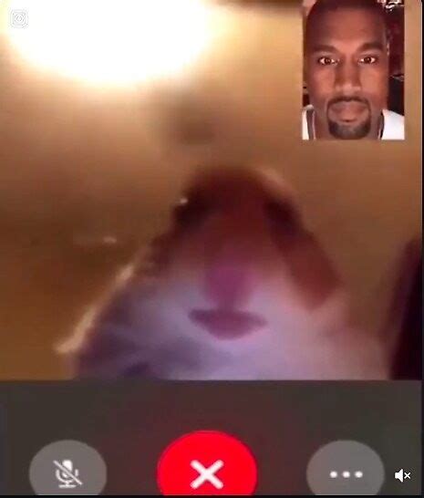 "Hamster Meme Facetime" by grandshabby | Redbubble