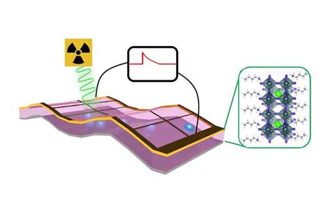 New X-Ray Detector to Reduce Radiation Exposure, Improve Medical Imaging - BHS Connect