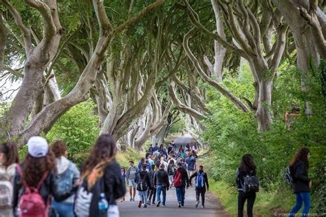 The Dark Hedges Game Of Thrones Filming Locations Ireland