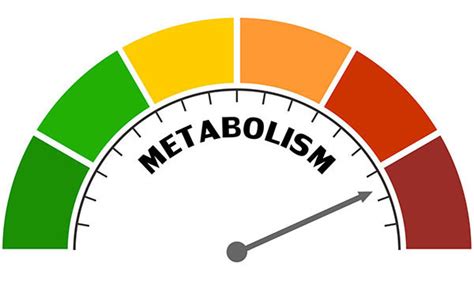 Surprising findings about metabolism and age - Harvard Health