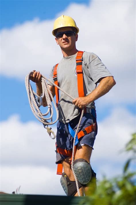 Tree Feller at work stock photo. Image of hardhat, safety - 78461070