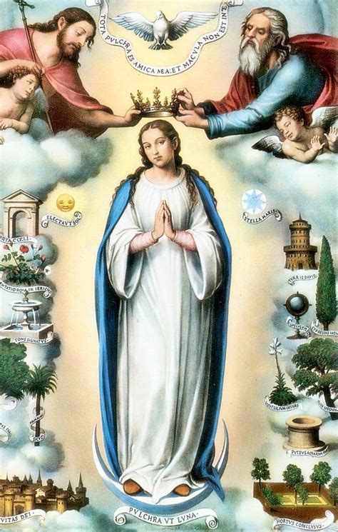 Celebrate the Queenship of Mary with Your FamilyCatholicMom.com | Blessed virgin mary, Blessed ...