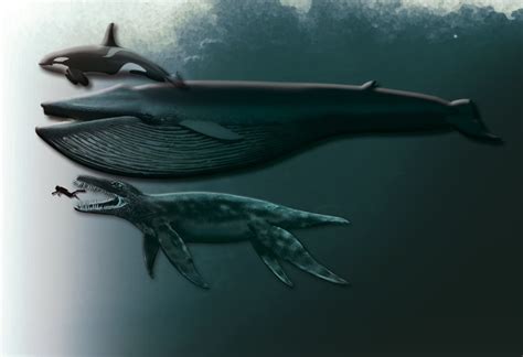 Species New to Science: [Paleontology • 2012] Pliosaurus funkei ...