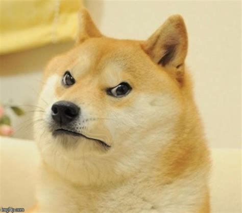 Mad doge Memes - Imgflip