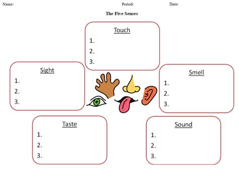 Five Senses Worksheet | Five senses worksheet, Graphic organizers, Letters for kids