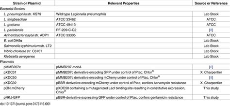 Seeing red; the development of pON.mCherry, a broad-host range ...