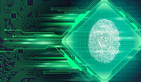 Explanation on automated fingerprints identification system — EUAM Ukraine