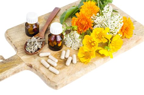 Traditional medicine concept, medicinal plants and herbal capsules 4612508 Stock Photo at Vecteezy