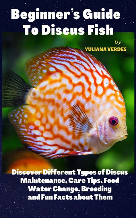 Beginner’s Guide To Discus Fish: Discover Different Types of Discus, Maintenance, Care Tips ...