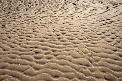 Wet Sandy Background. Beach Sand Texture Stock Photo - Image of desert ...