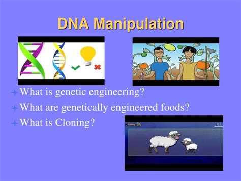 PPT - DNA Manipulation PowerPoint Presentation, free download - ID:595570