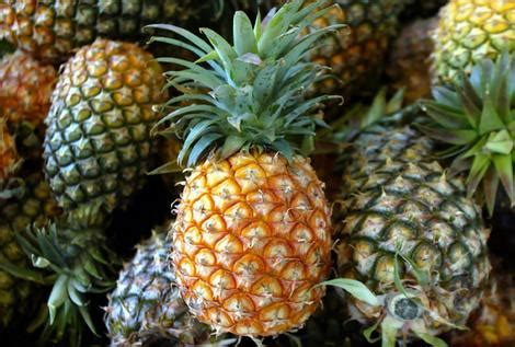 Australian Tropical Foods » Pineapple