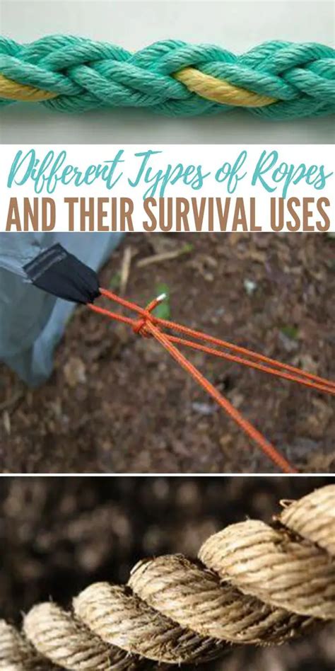 Different Types of Ropes and Their Survival Uses