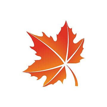 Maple Leaf Vector Art PNG Images | Free Download On Pngtree