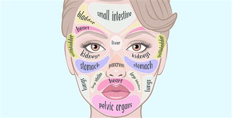 Face Mapping: What Science Says & How It Works - Dr. Axe