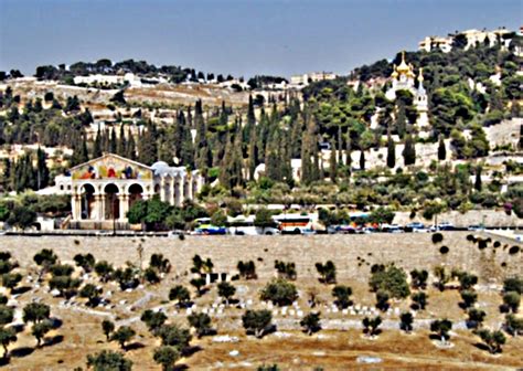 gethsemane-mt-of-olives – Renewal Journal