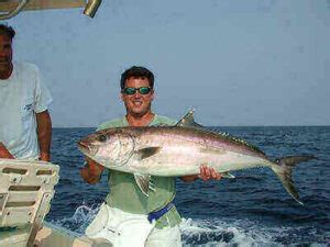 How To Catch Amberjack