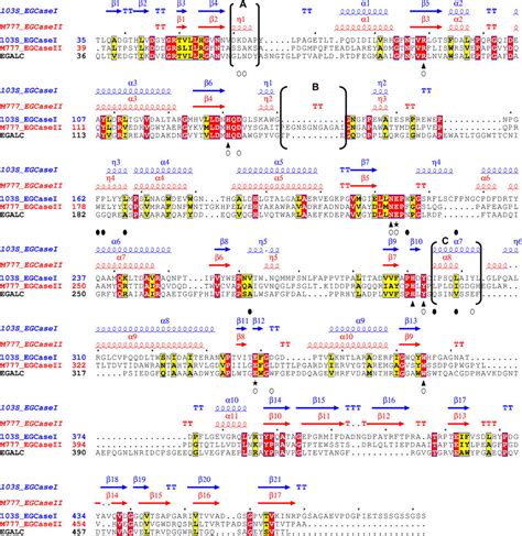 Structure-based sequence alignment of 103S_EGCase I, M777_EGCase II and... | Download Scientific ...