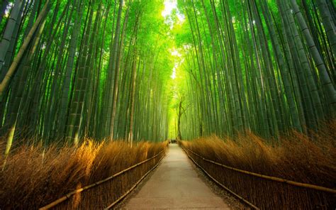 Arashiyama Wallpapers - Wallpaper Cave