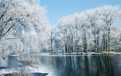 Free photo: Winter lake - Cold, Lake, Landscape - Free Download - Jooinn