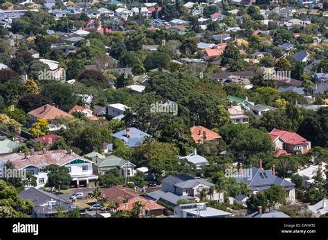 Auckland suburbs houses and greenery hi-res stock photography and images - Alamy