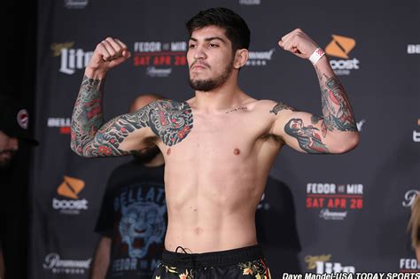 Dillon Danis receives seven-month suspension for role in UFC 229 brawl | MMA UK