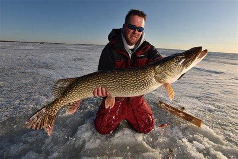 11th Annual Battle on 'Bago Tourney AND Lake of the Woods Fishing Report | Ultimate Outdoors Radio