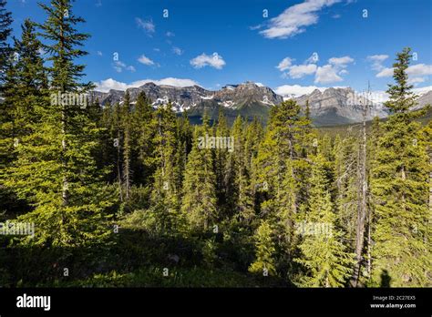 The Rocky Mountains of Banff National Park Canada Stock Photo - Alamy