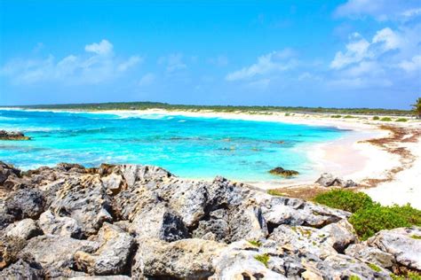 Best Snorkeling in Cozumel: 12 Amazing Spots for 2024