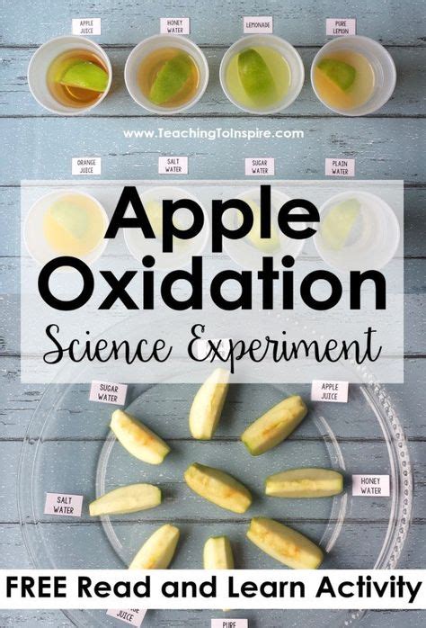 Apple Oxidation Science Experiment (with FREE Science Reading Activity) | Science fair, Science ...