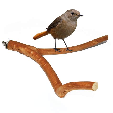 Wood Bird Cage Perch – Parrot V-shaped Perch - KaroutExpress