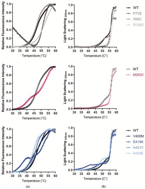 Glutaryl-CoA Dehydrogenase Misfolding in Glutaric Acidemia Type 1