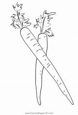 Carrots 3 Coloring Page For Kids  Free Printable sketch template