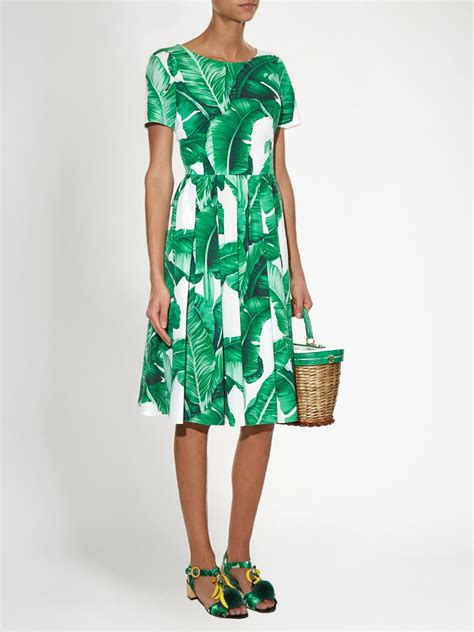 Dolce & Gabbana Banana Leaf-print Dress in Green - Lyst