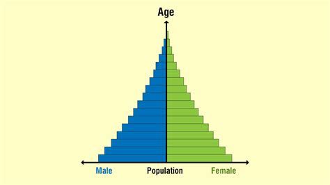 3 Types Of Population Pyramids