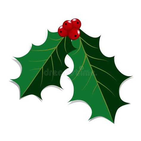 Holly Leaves and Berries stock vector. Illustration of celebration - 11387885