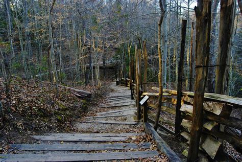 Cliffs of the Neuse State Park Camping | The Dyrt