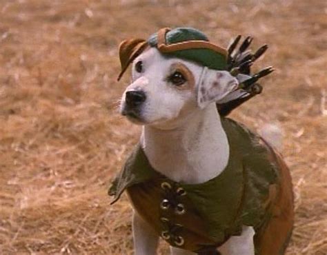 I Learned Everything I Know from Wishbone - The Tangential