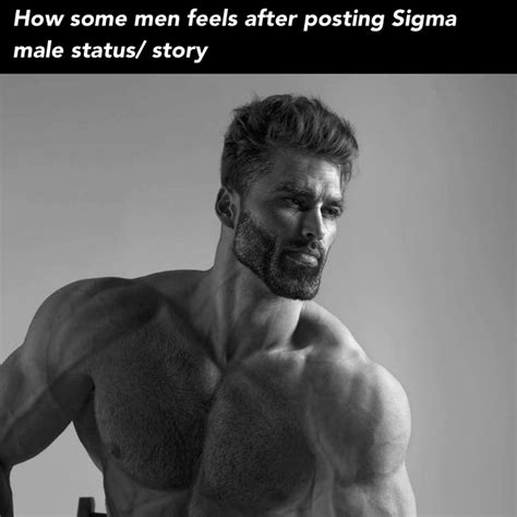 Got sick of all sigma male rule memes & posts,. : r/meme