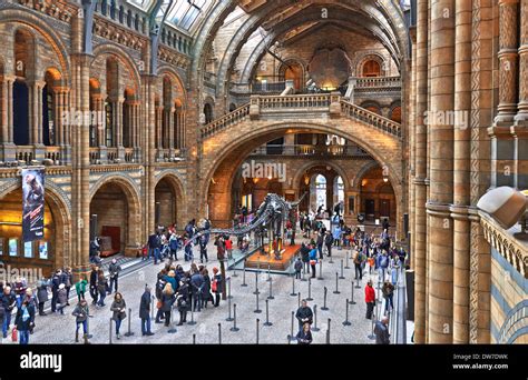 The Natural History Museum is one of three large museums on Exhibition ...