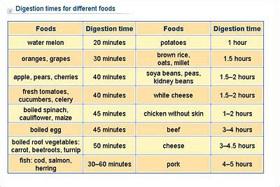 Time to Digest Foods and Why It's Important - Nest and Glow | Food for digestion, Food digestion ...